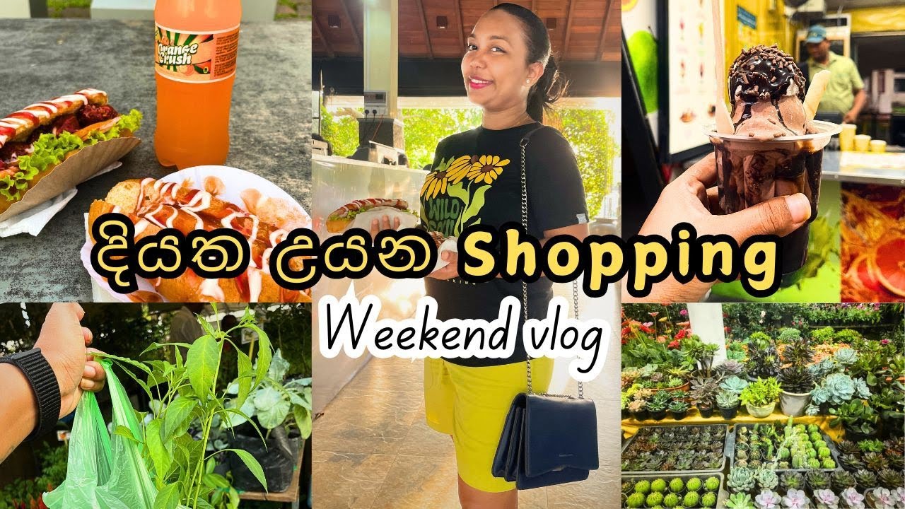 Diyatha Uyana Battaramulla | Shopping Vlog | Keels | Roots | Food Vlog | Sinhala Youtuber |Sri Lanka