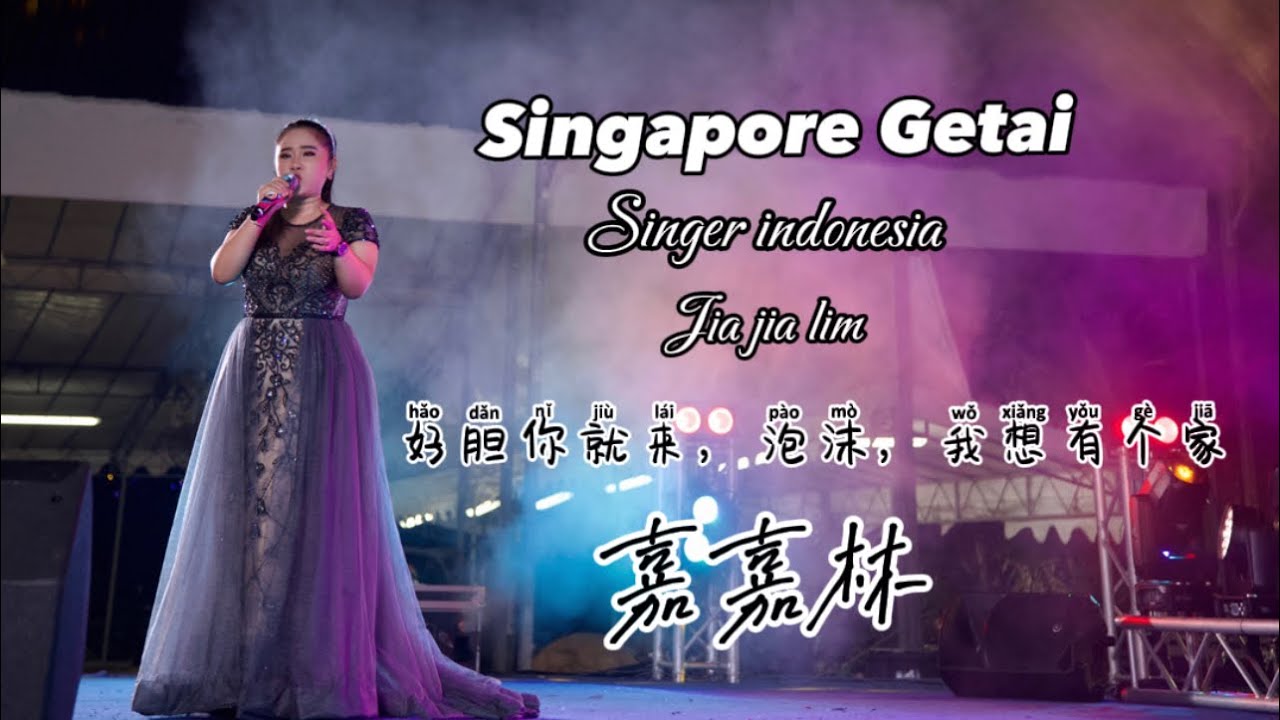 好胆你就来 Ho Da Li Tio Lai - 泡沫 Pao Mo - 我想有个家 Wo Xiang You Ge Jia - Jia Jia Lim 嘉嘉林 COVER
