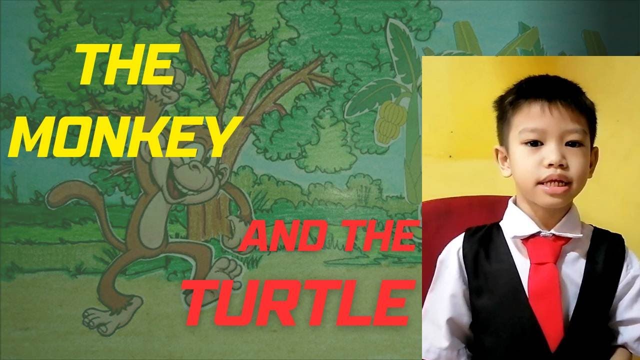 The Monkey and the Turtle/Presented by NZ Bro