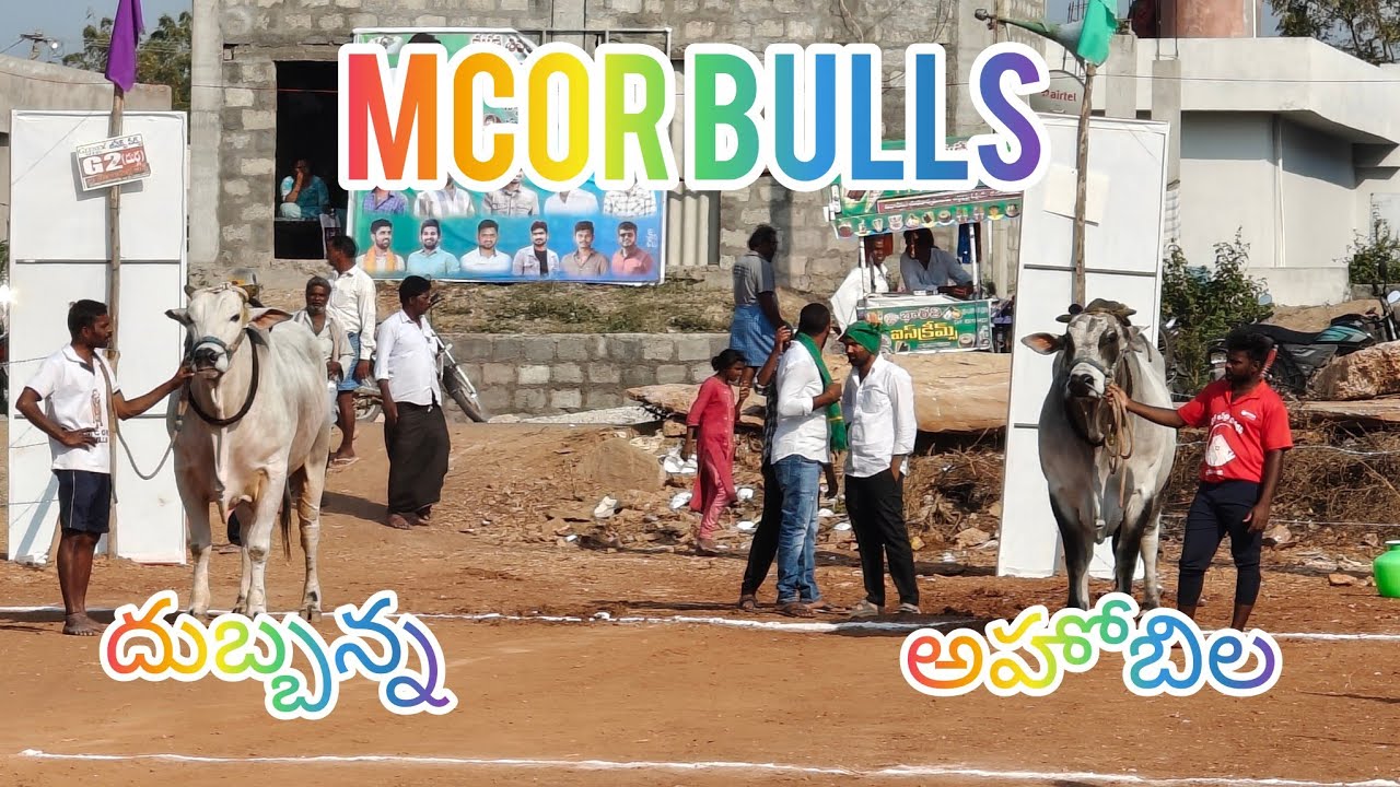 చింత్రయాల 1 వ జత మార్తాల చంద్రఓబుల్ రెడ్డి గారు చౌటుపల్లి ( అహోబిల దుబ్బన్న)