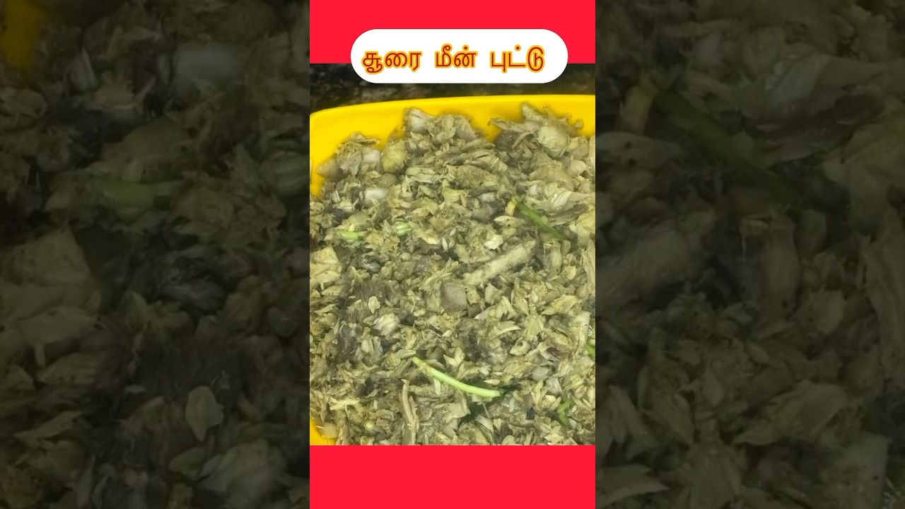 அம்புட்டு ருசியா இருக்கும் சூரை மீன் புட்டு ❣️❣️// delicious சூரை Fish puttu❣️❣️