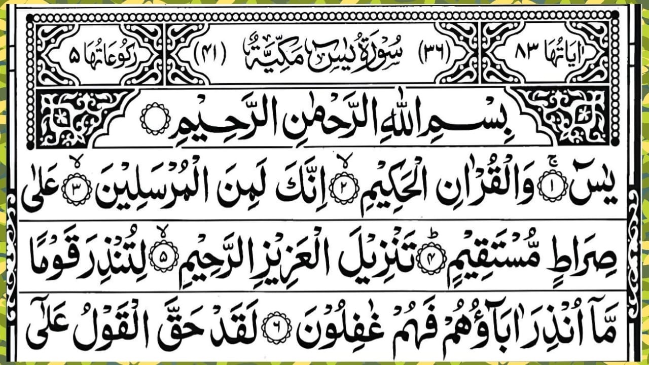 Surah Yaseen❤️Surah Yasin❤️Surah Rahman❤️Surah mulk❤️ Surah Muzammil❤️Surah Kahf❤️Yasin Quran❤️