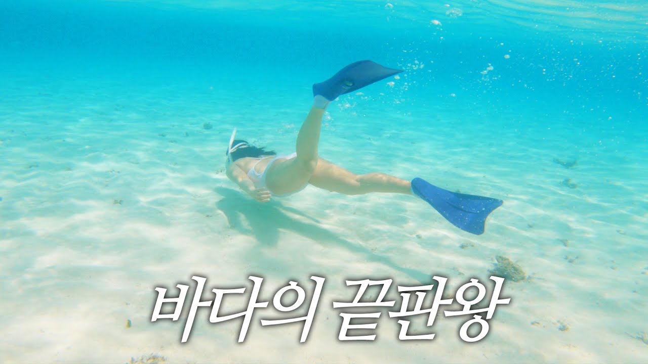 [4K] 프리다이빙 Vlog l 현실에서 이런 바다가 가능해⁉️ 프다 인생 압도적 1위‼️ l 일본 미야코지마 야비지