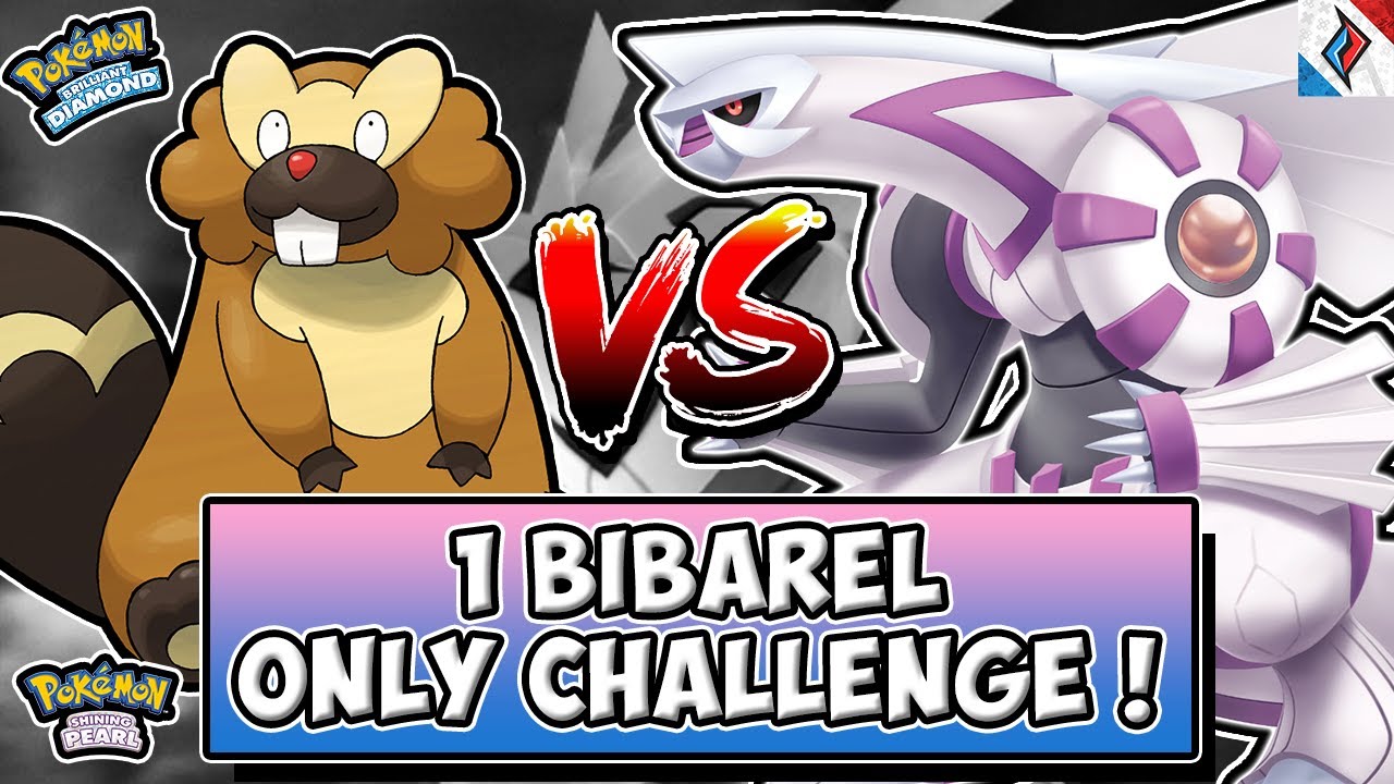 BISAKAH AKU MENAMATKAN POKEMON BRILLIANT DIAMOND SHINING PEARL HANYA DENGAN 1 BIBAREL ?