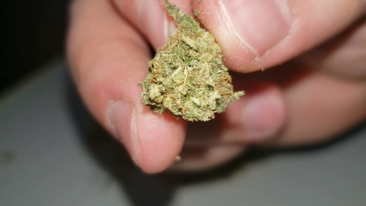 STRAIN REVIEW 044: pink kush (smalls) AAA - Mygreensolution