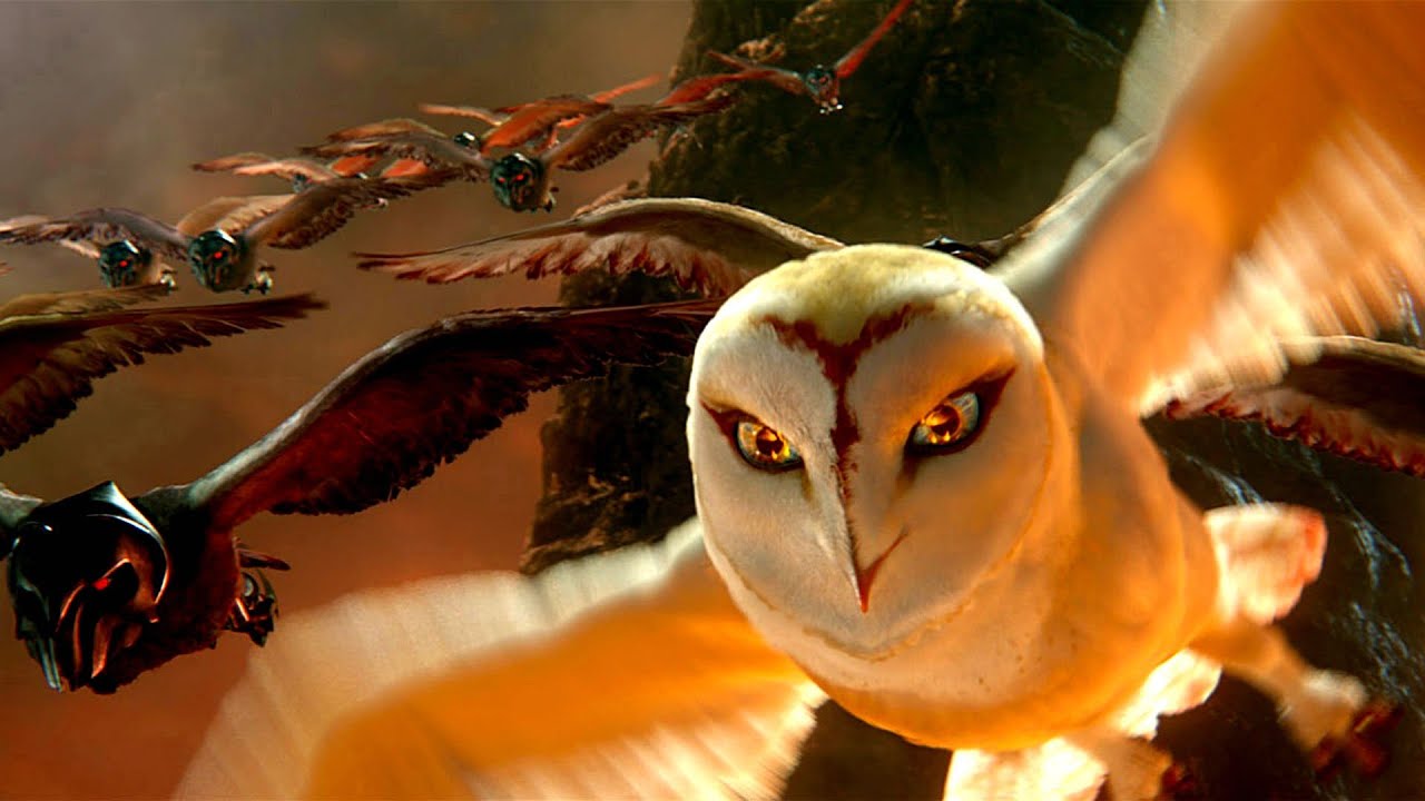 Group Of Warrior Owls Save The Owl Kingdom By Defeating The Evil Ones