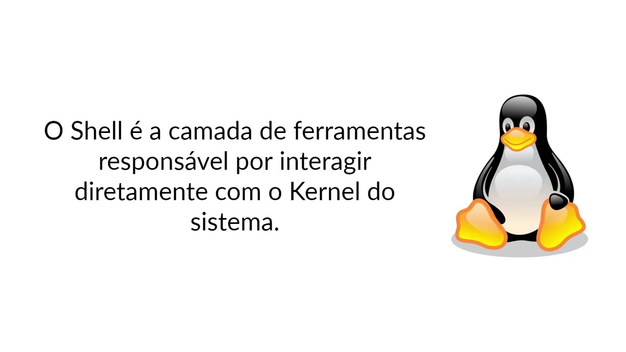 O que &eacute; Shell