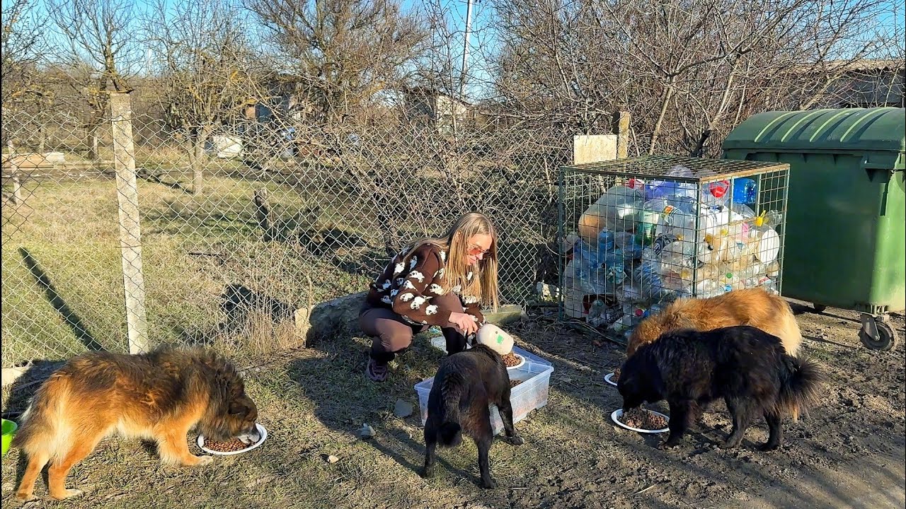 We helped them survive the winter… and now they are welcoming spring with us