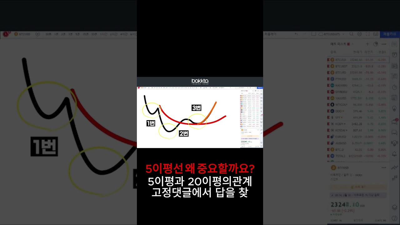5이평선의 중요성 #쇼츠#이평선#백타#shorts
