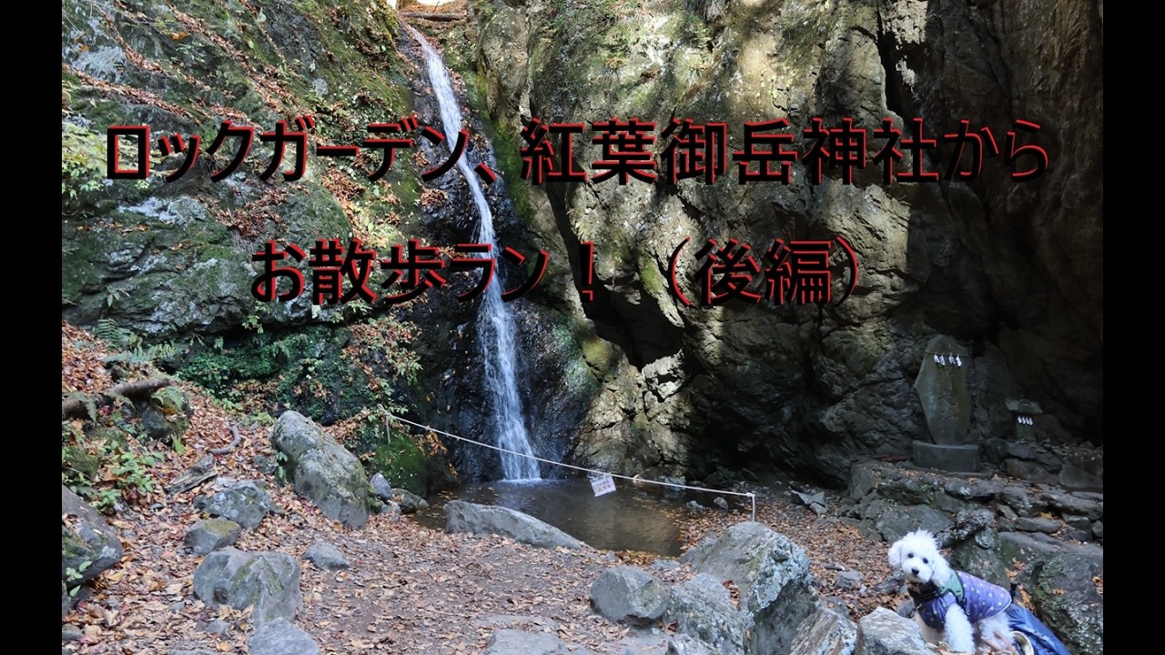 ロックガーデン、 紅葉御岳神社から お散歩ラン！（後編）