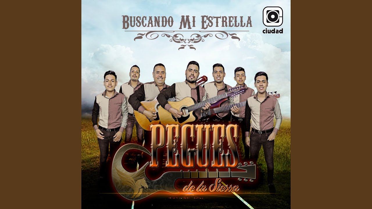 Necesito una Compañera