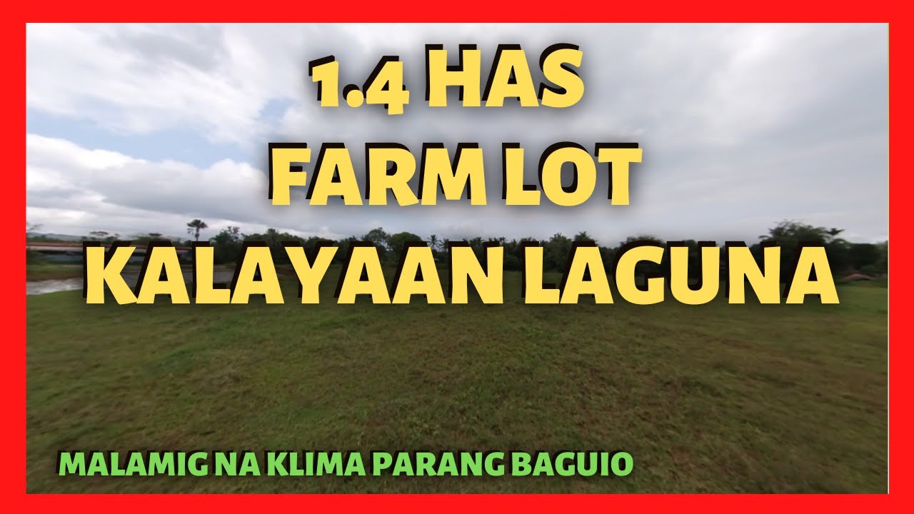 1.4 Ha Farm Lot for Sale Kalayaan Laguna [SOLD] (Lot Code 2212)