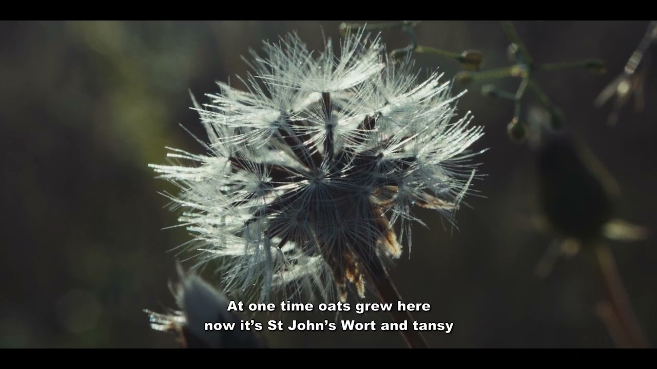 Jan Polkowski. Moje miejsce na ziemi. Tymowa 2023 (ENG subtitles)