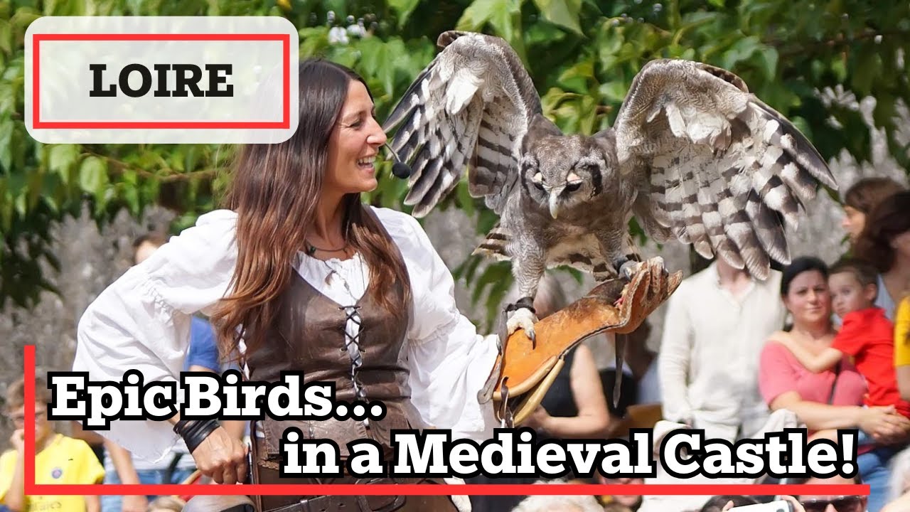 Wings of Legend: The Best Bird Spectacles in France!