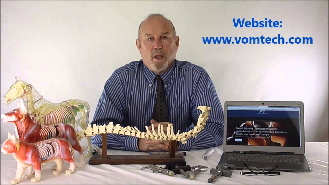 VOM Intro Video 3 How to Apply it in Your Practice
