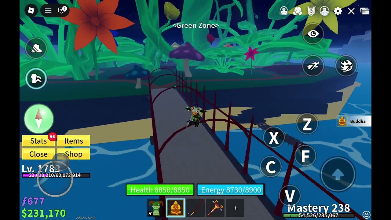 Yo playing blox fruits