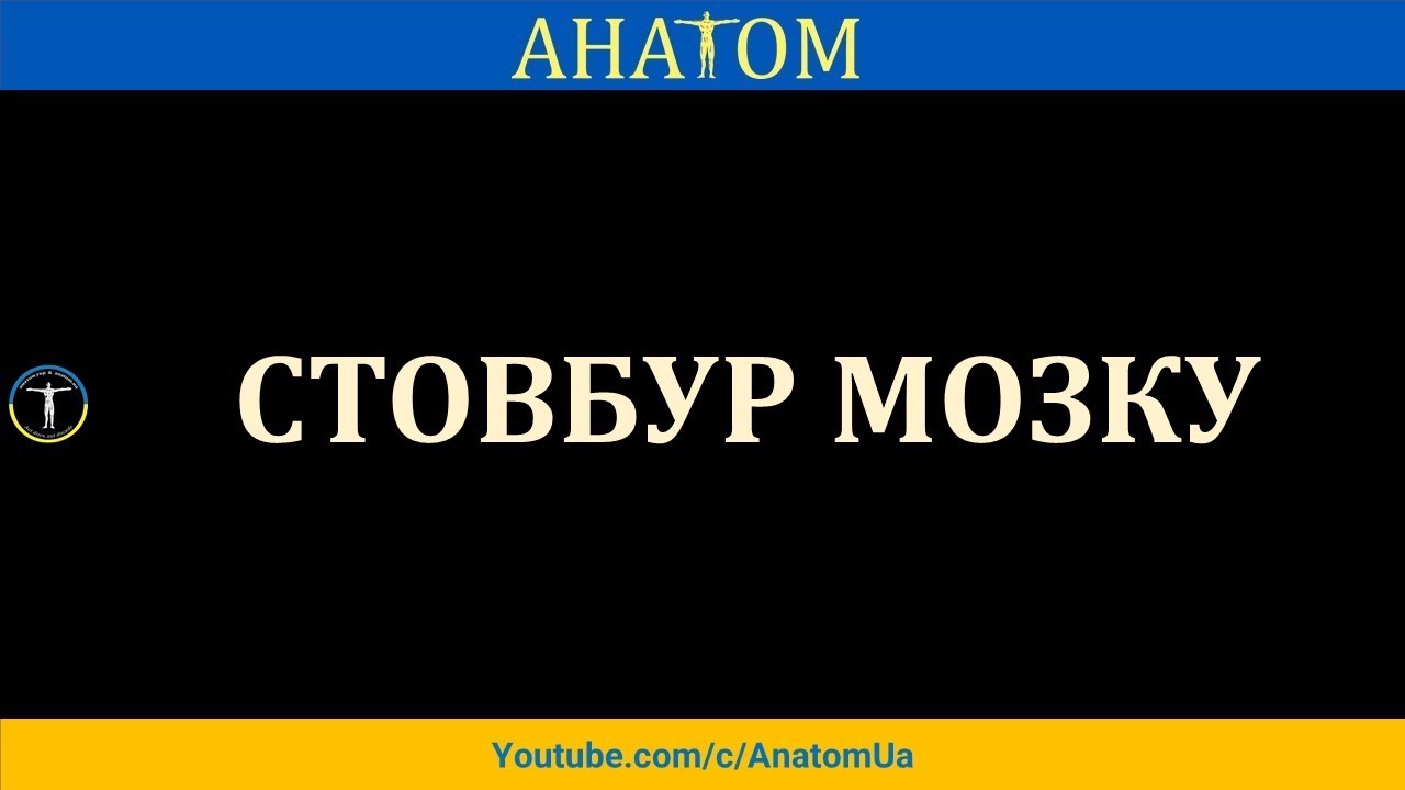 СТОВБУР МОЗКУ