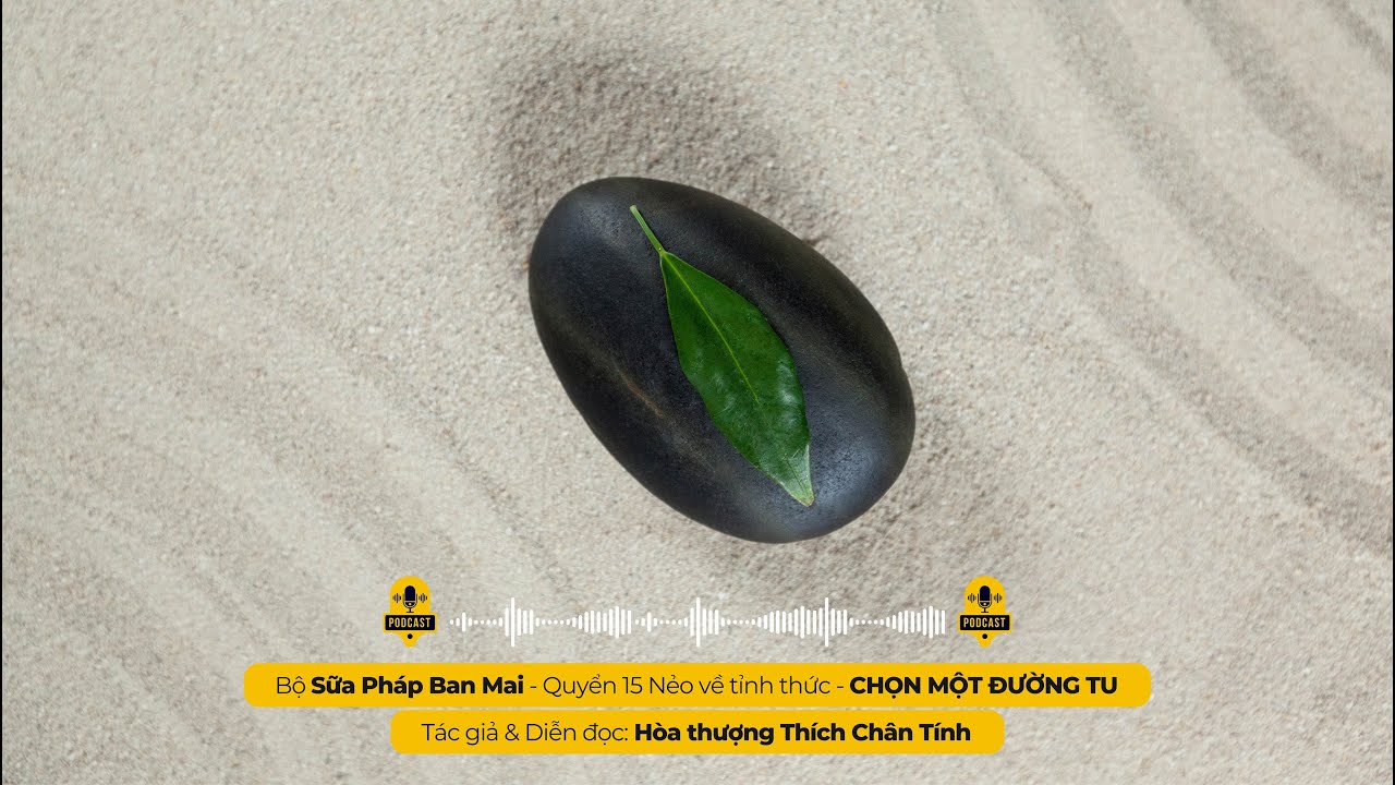 CHỌN MỘT ĐƯỜNG TU I Tác giả & Diễn đọc - Hòa thượng THÍCH CHÂN TÍNH