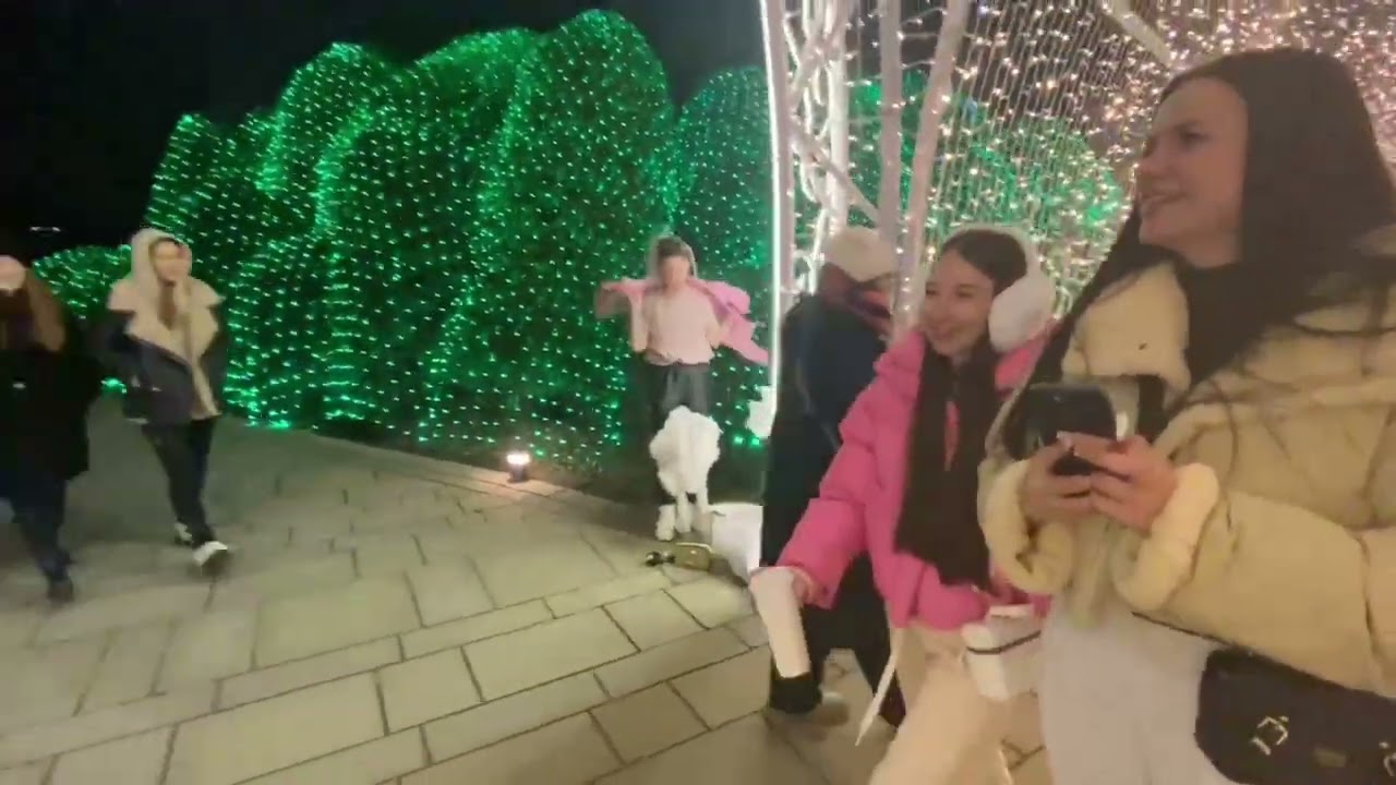Новогодний Краснодар 🌲🌲🌲