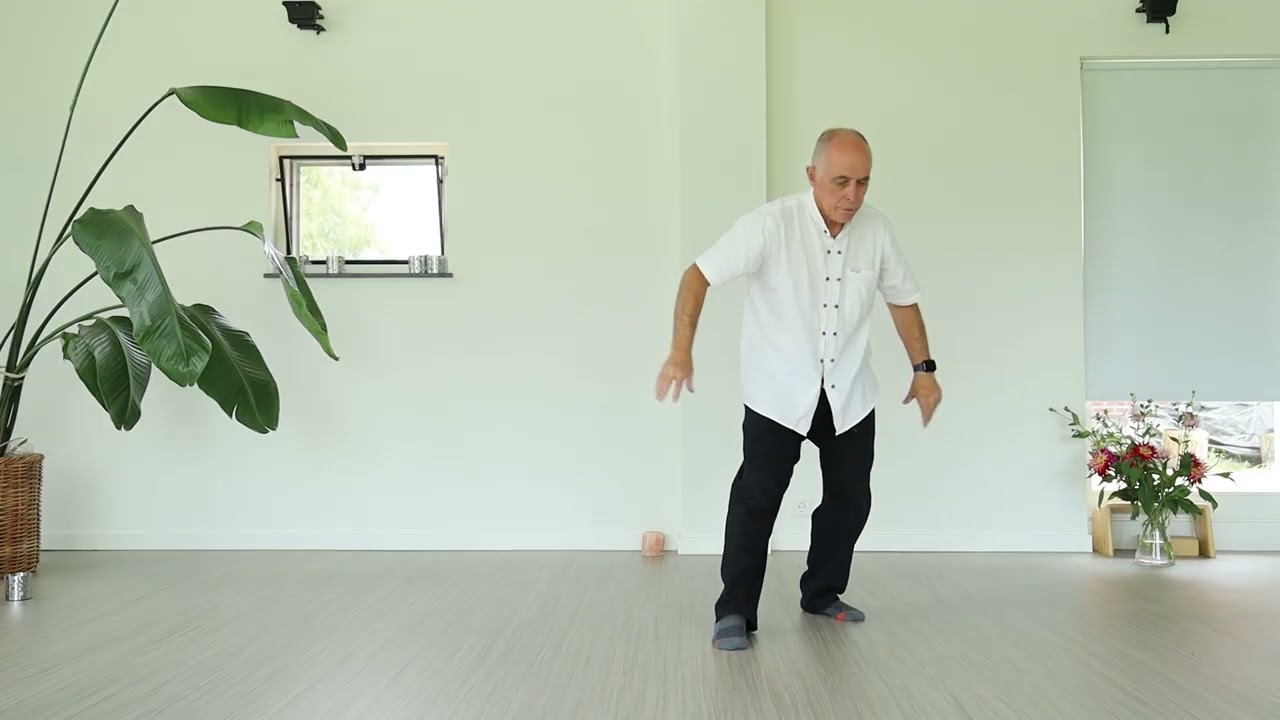 Grijp de vogel bij zijn staart versie 2