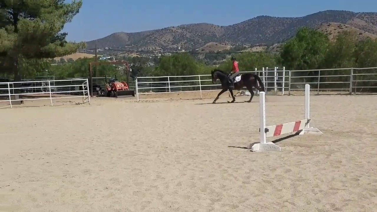 Pye first time jumping a course