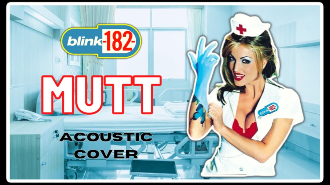blink-182 - Mutt (Acoustic Cover)