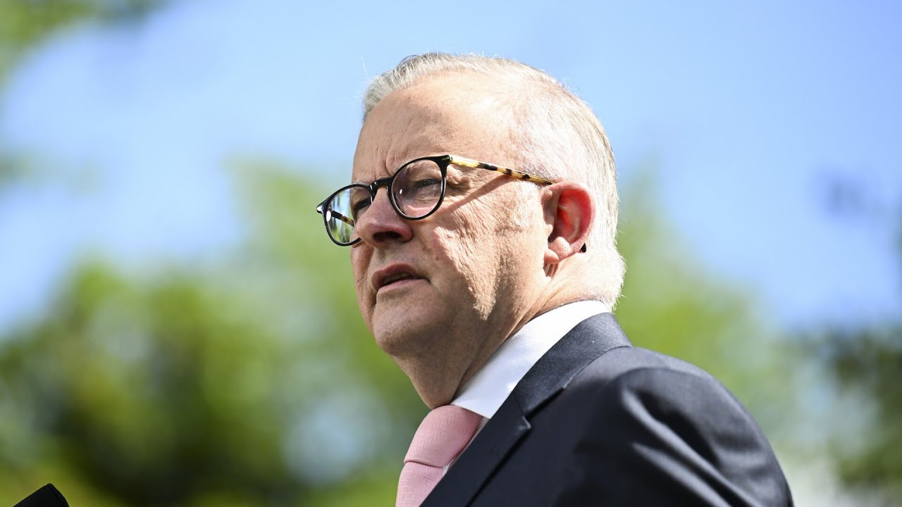 ‘Government is flailing’: Labor turn to cheaper loans in effort to bolster EV demand