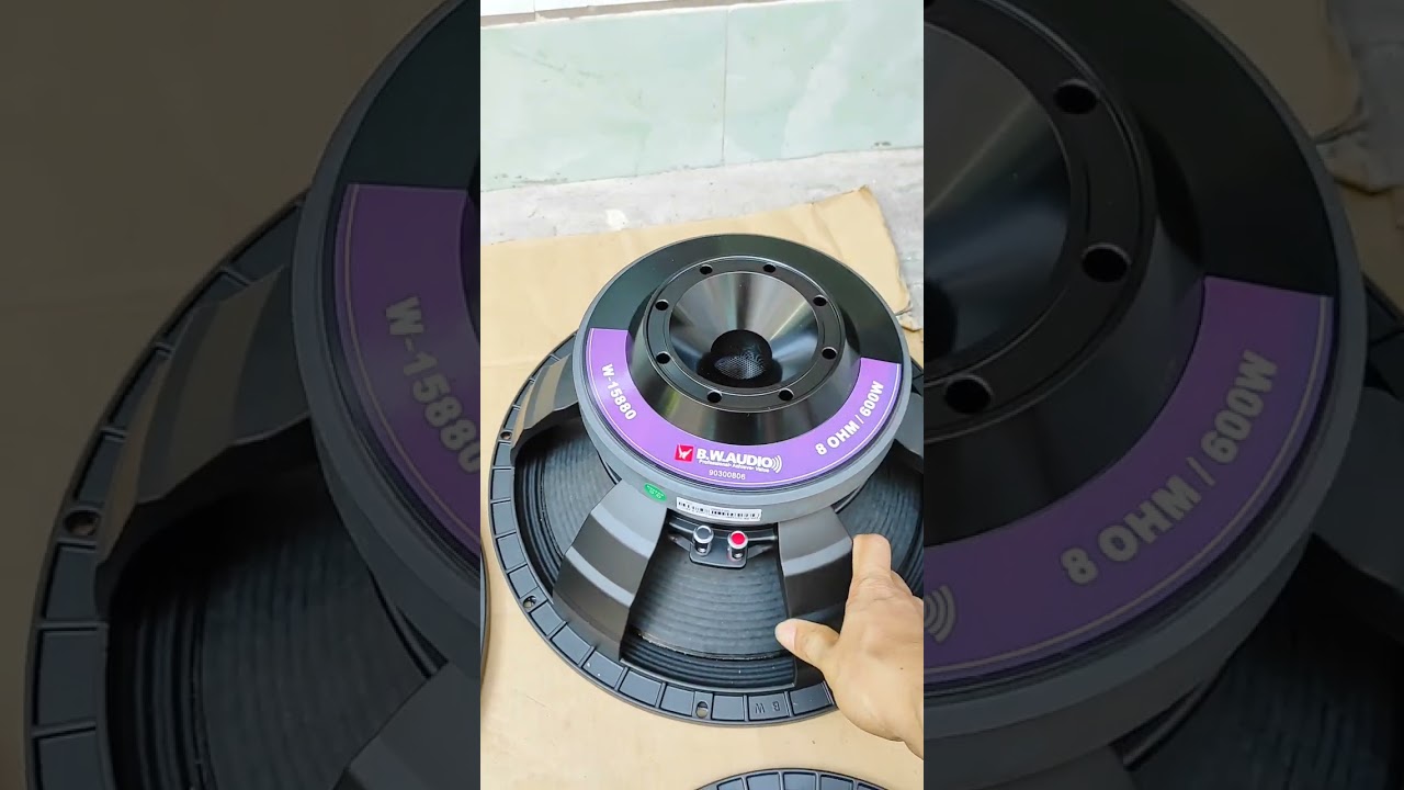 T&igrave;m hiểu  về d&ograve;ng loa B.W audio cao cấp | Th&agrave;nh Loa 0984891927