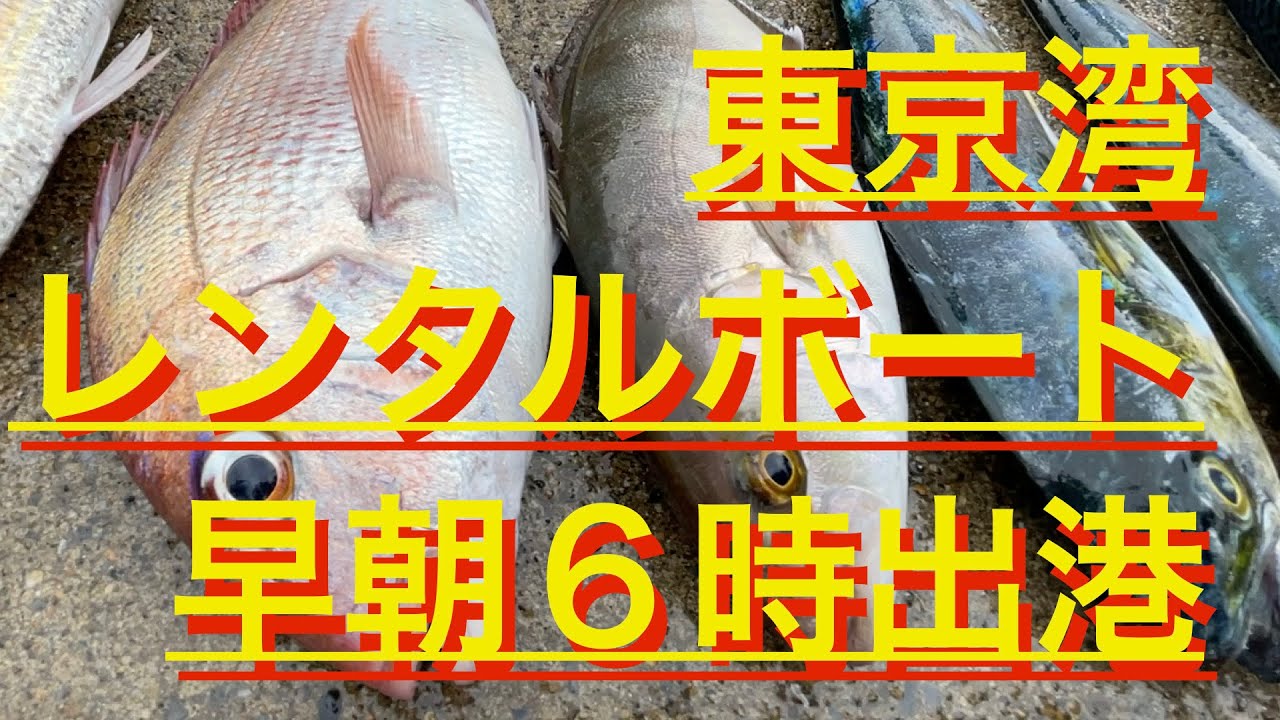 東京湾レンタルボート 早朝６時出港