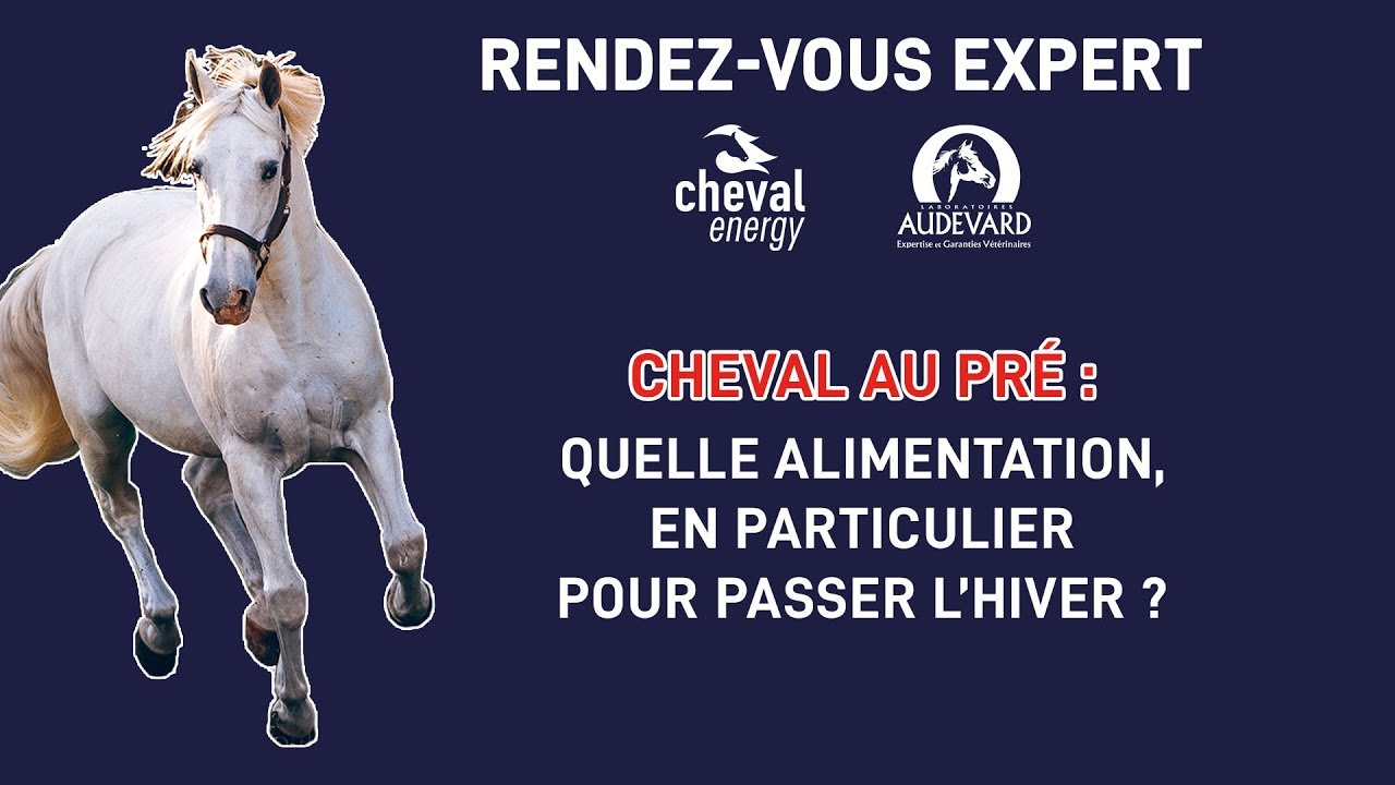 Cheval au pr&eacute; : quelle alimentation, en particulier pour passer l&rsquo;hiver ?