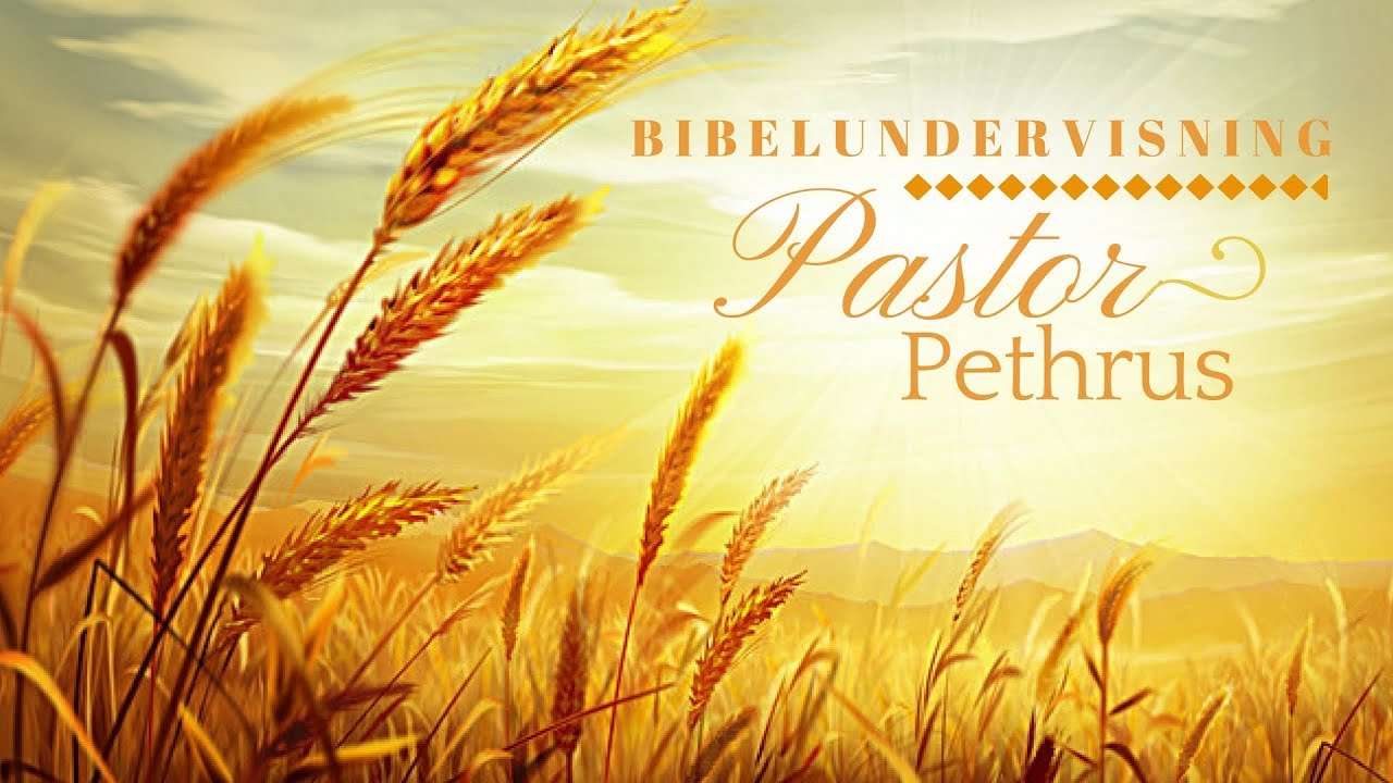 TRO - BIBELUNDERVISNING