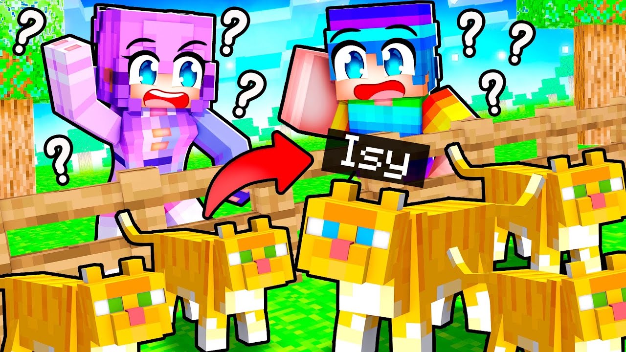 VERSTECKEN SPIELEN als KATZEN! 🌸 Minecraft