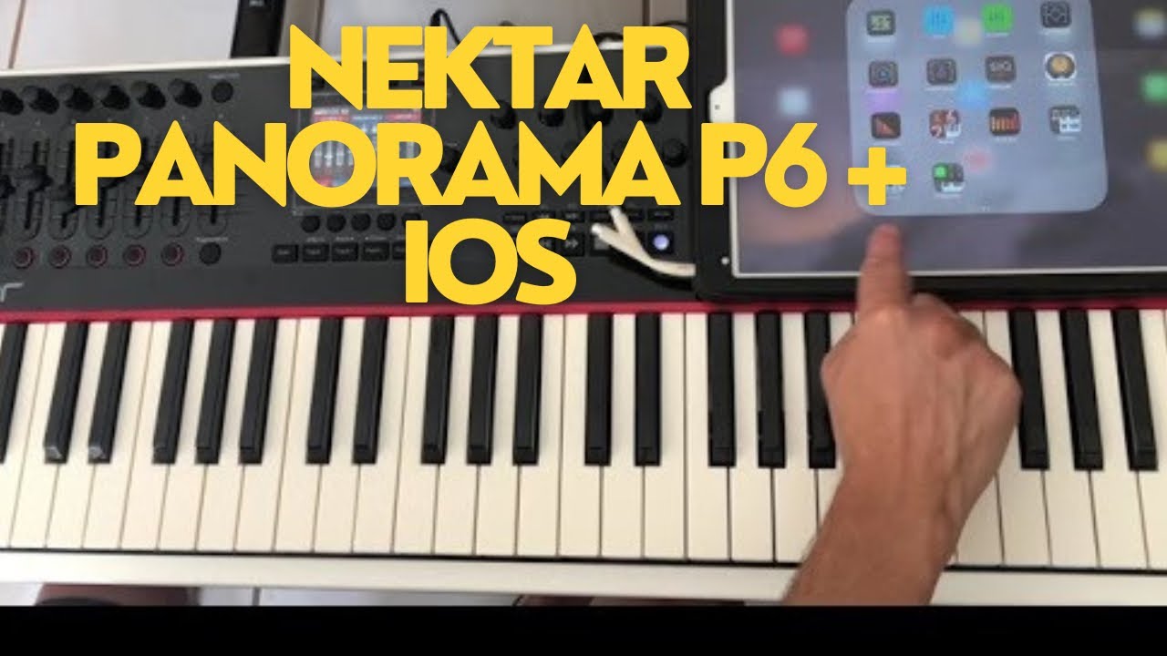 Nektar Panorama P6