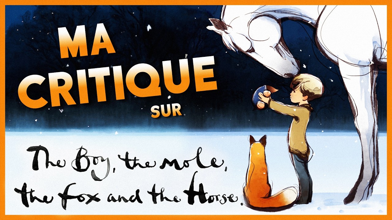 Vous N'avez Pas Compris Ce Film !