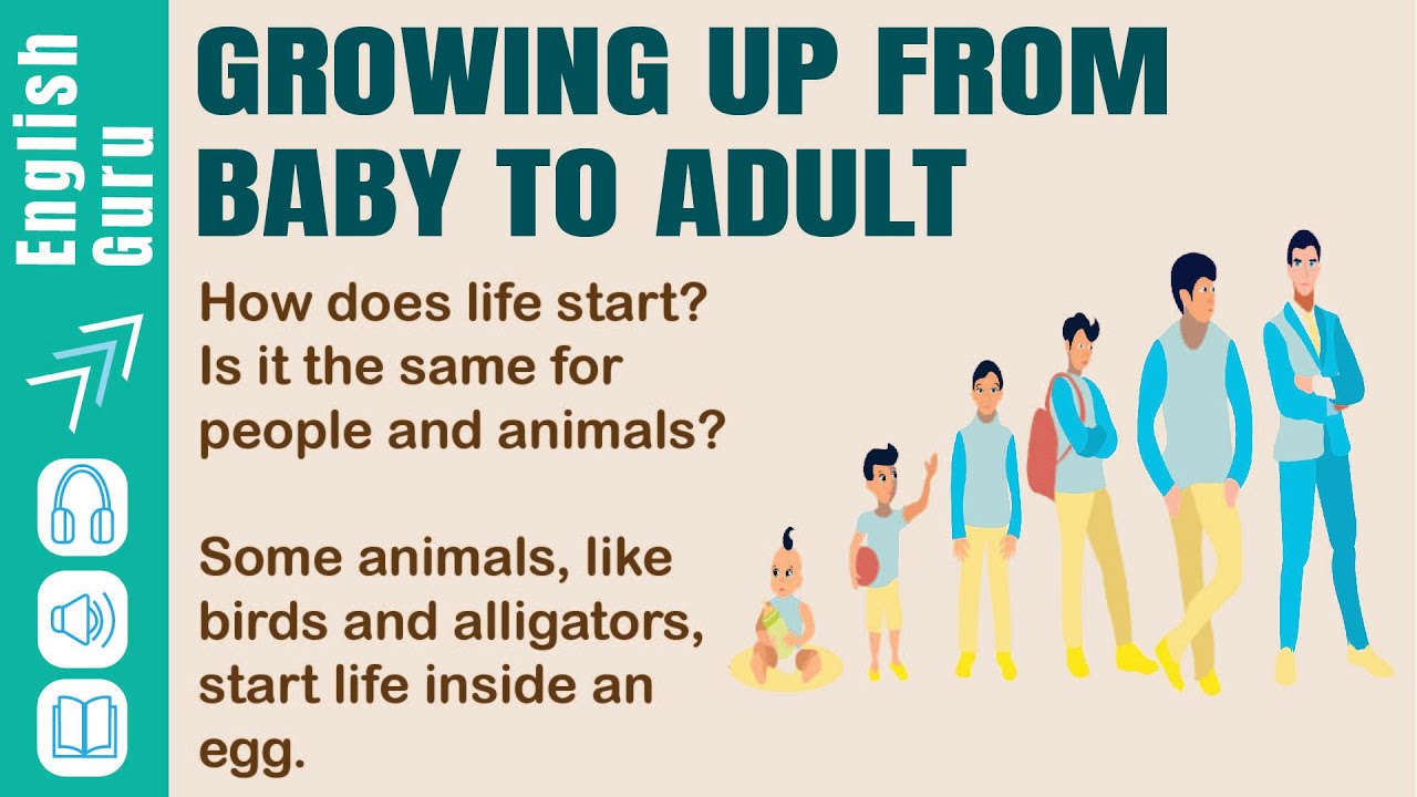 Learn English Through Story| English Listening Practice| Growing Up From Baby To Adult