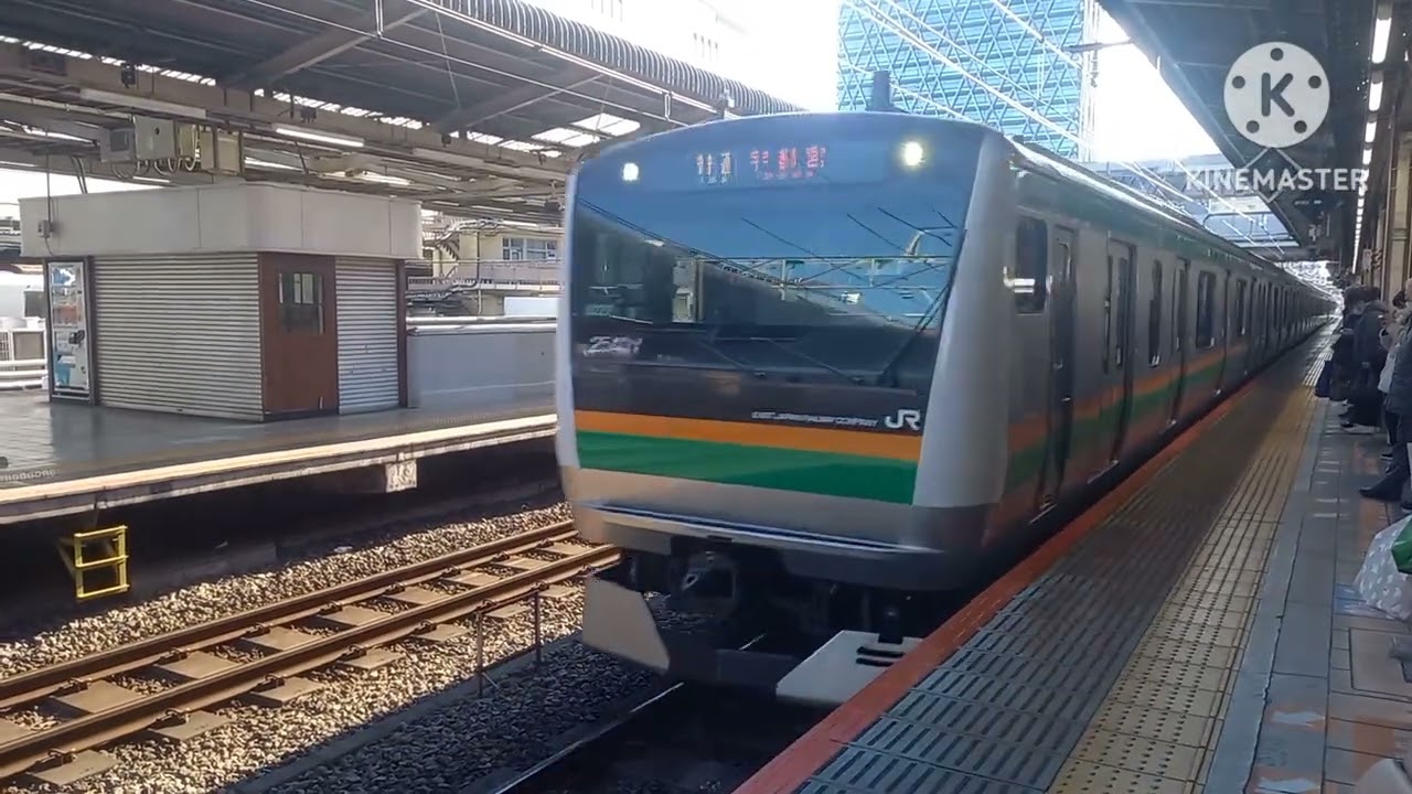 【3番線の発車メロディーは途中切り】湘南新宿ライン池袋駅で発着シーンを撮影