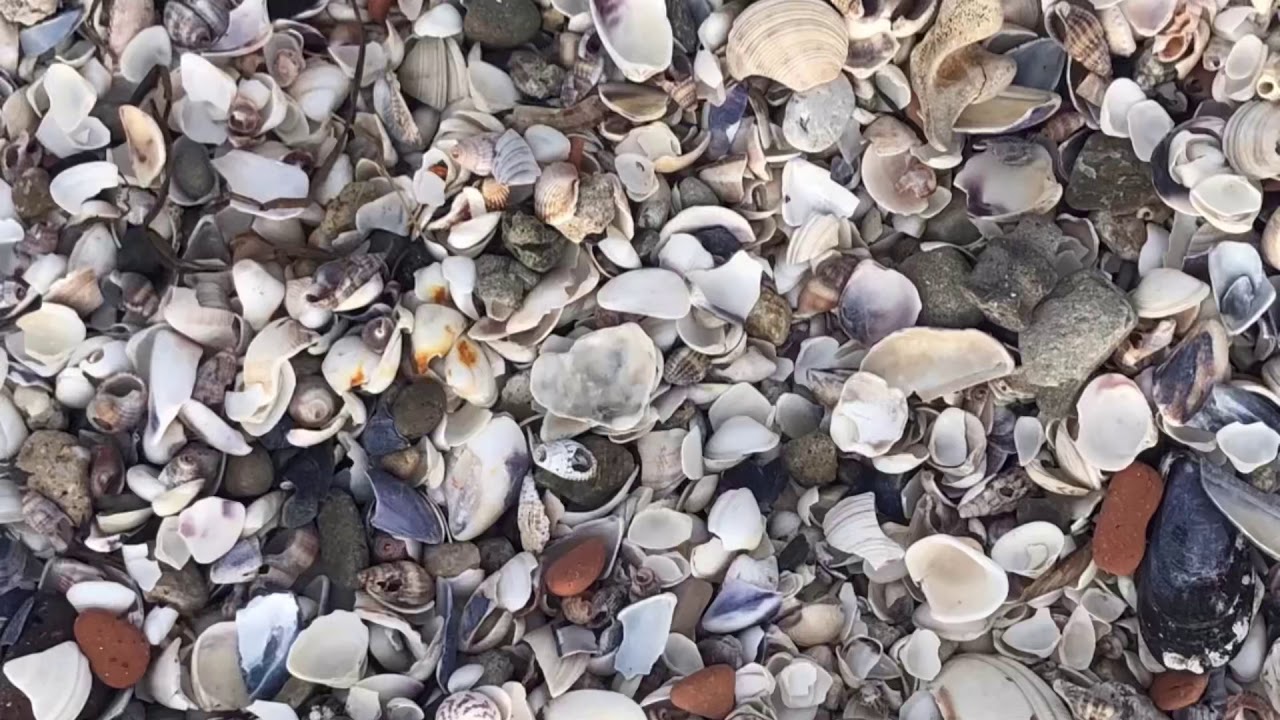 Прогулка по красивым местам в Силиври:)