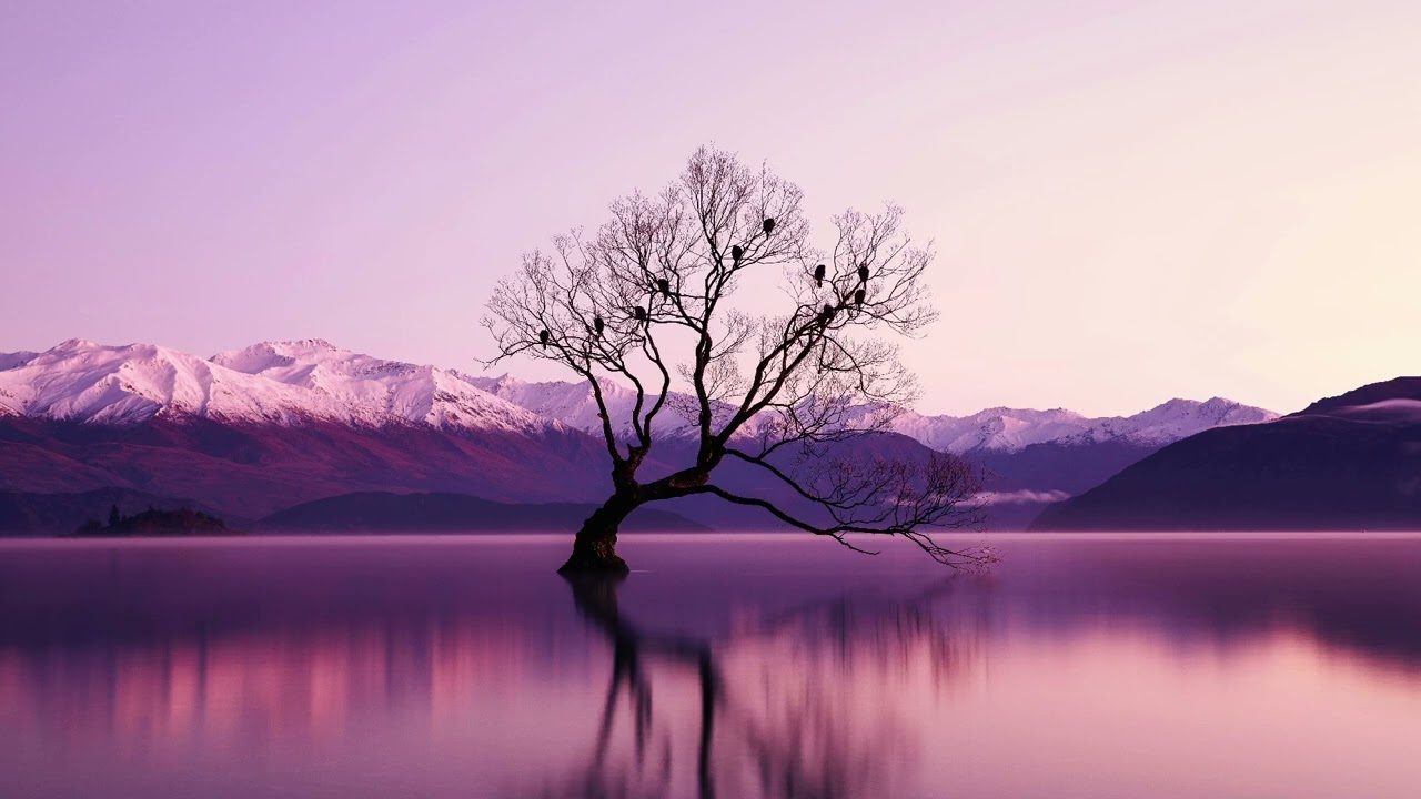 Guided Meditation - February 26, 2026
