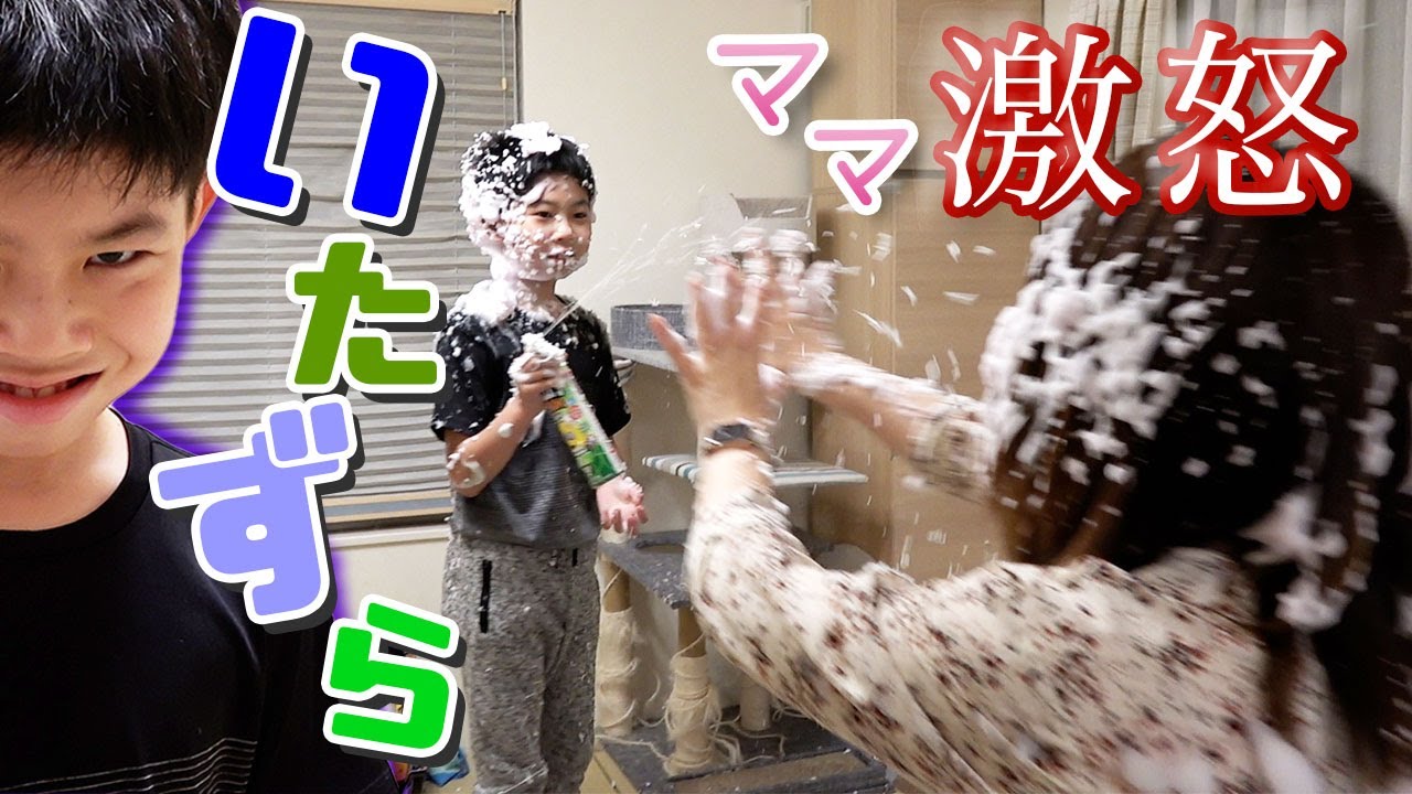 【いたずら だいちゃん】ありえないほどの大惨事が起きた