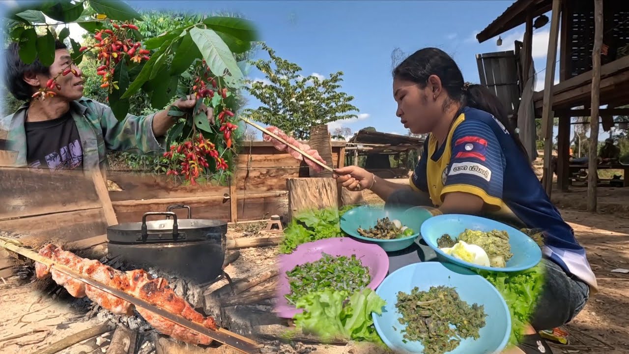 ນອນໄຮ່ກ້ອຍໄຂ່ມົດແດງ//นอนไร่ก้อยไข่มดแดง