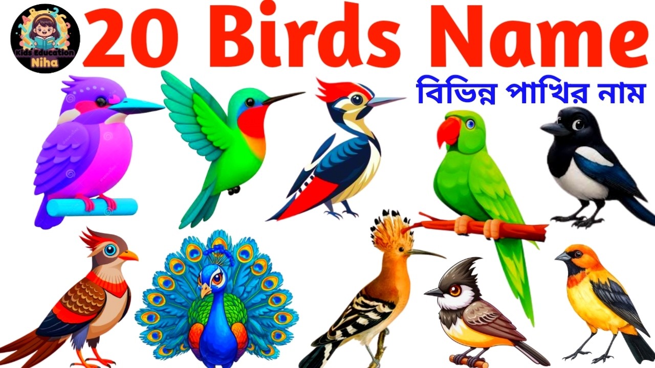 Birds Name in English | Learn 20 Birds with Pictures | Kids Learning