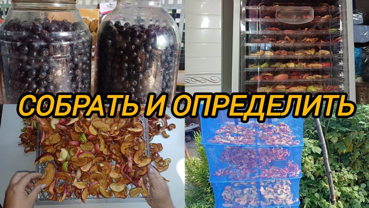 СОБРАТЬ И ОПРЕДЕЛИТЬ