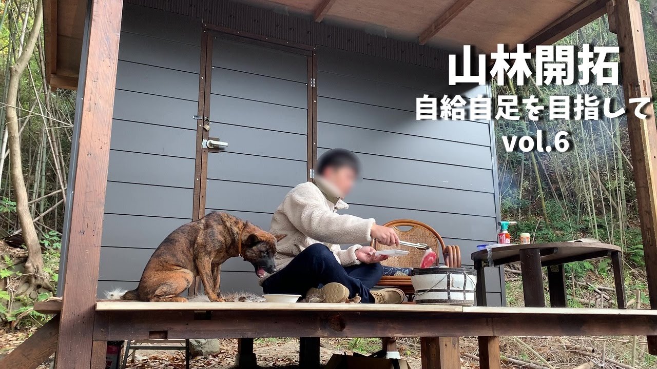【山林開拓】自給自足を目指してvol.6　廃材で小屋作り(ドア、天井、フローリング編)猪肉BBQ