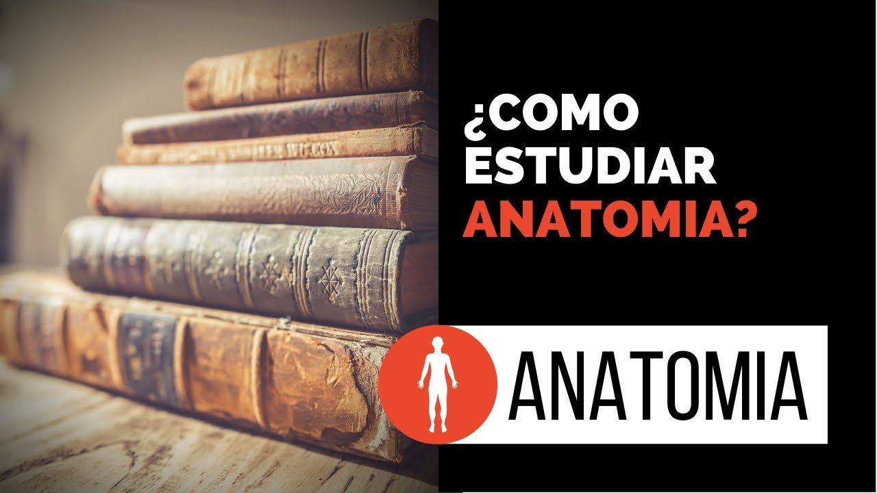 Como estudiar ANATOMIA de manera ordenada y fácil. Consejos✅