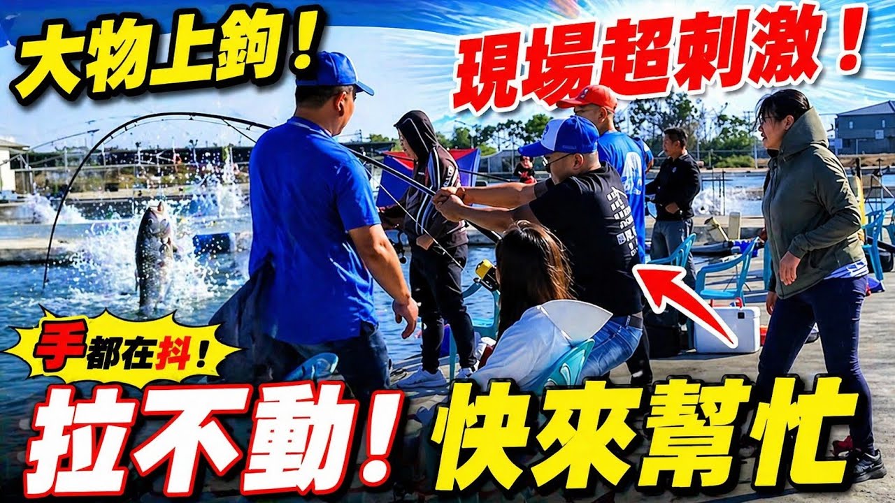 【冬天最強標的七股大石斑】12月龍膽石斑超會吃！一餌下去直接黑屏！