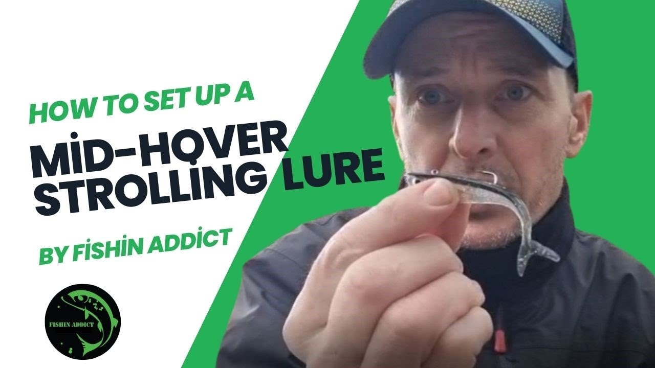 Mid-Hover Stroll Setup for Perch | FISHIN ADDICT