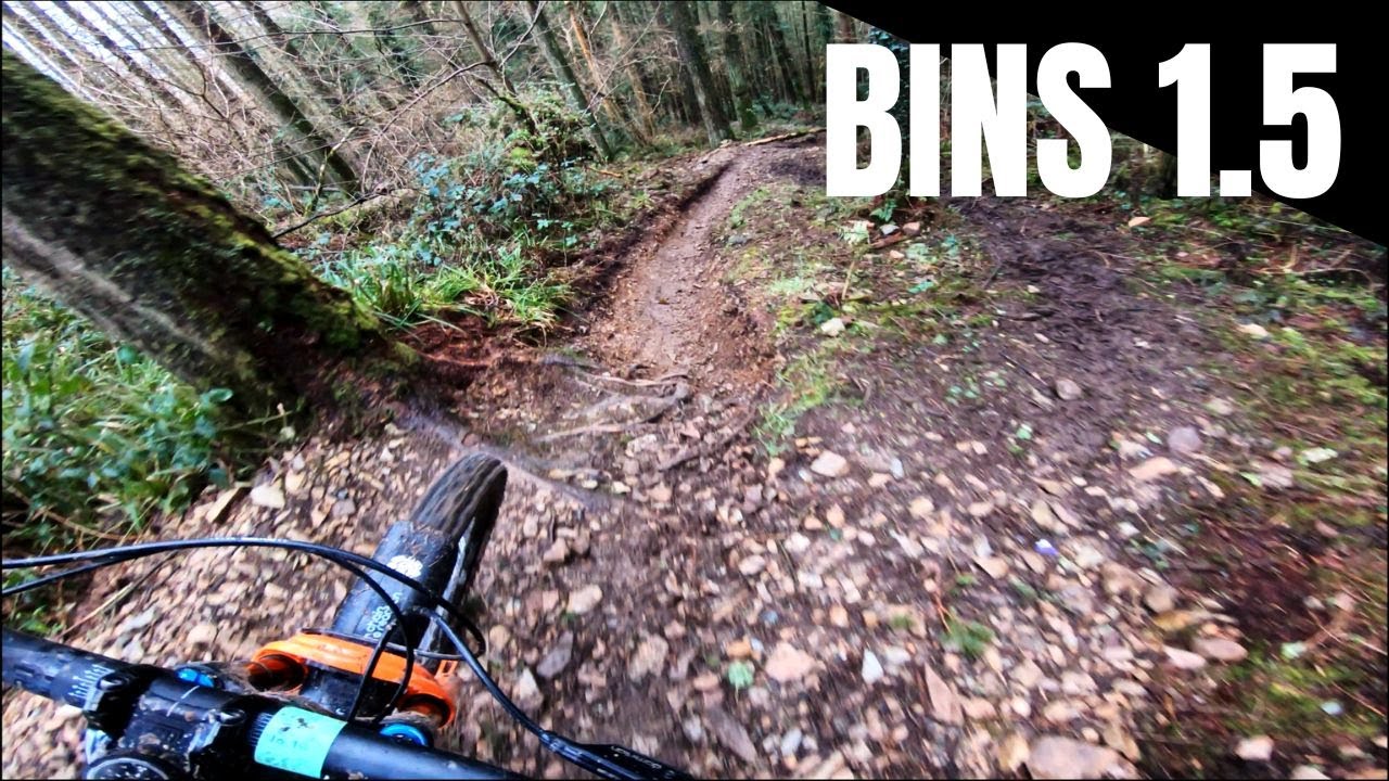 BINS 1.5 - Rostrevor DH Trails