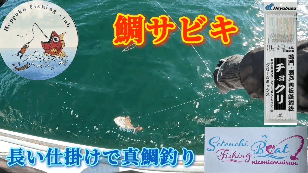 真冬の真鯛‼️長い仕掛けで釣る🎣（遊漁船　ニコニコ水産）IN瀬戸内海