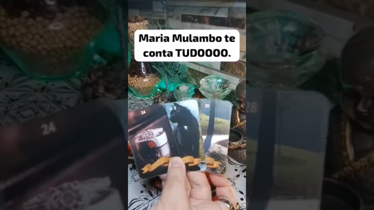 💥 URGENTE .. DONA MARIA MULAMBO TE CONTA TUDOOOO. #umbanda #tarotdodia #recadodeexu