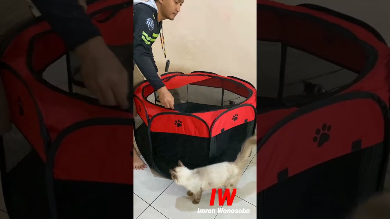 REVIEW Kandang Lipat Portable - Kandang Kucing Besar - Rumah Kucing/Anjing Untuk Melahirkan